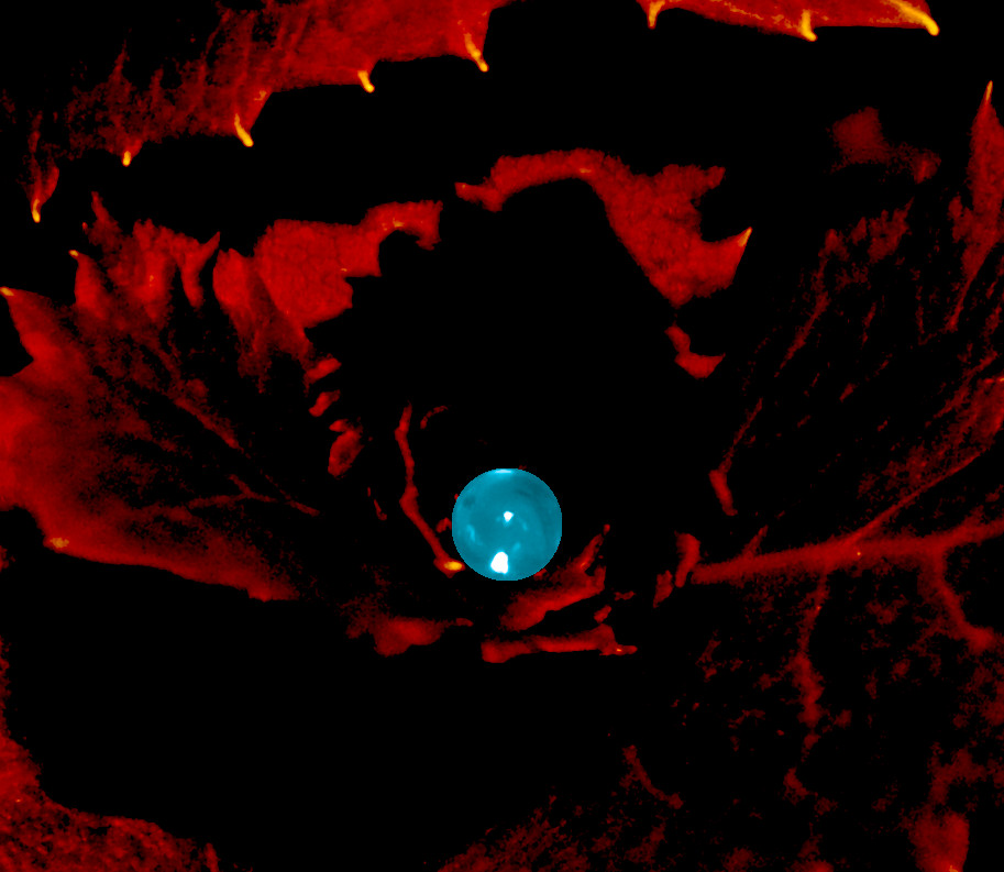 Volcanic Droplet